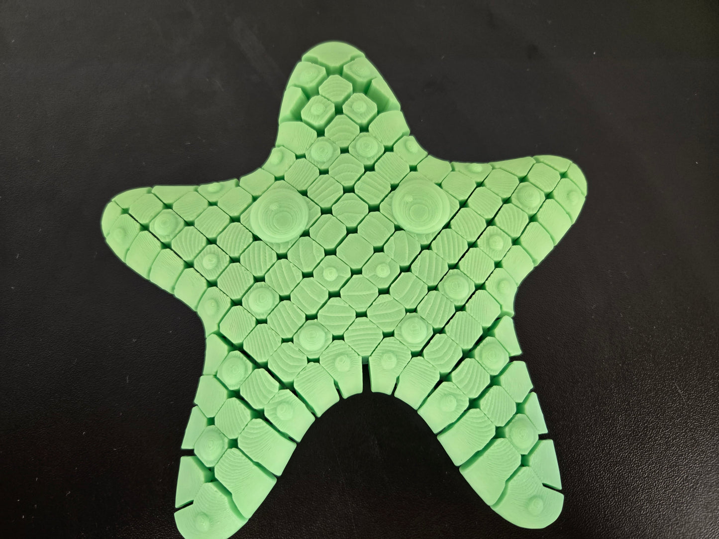 Starfish Fidget Toy 3D printed articulated fidget, colors may vary, made by Z Axis Rising